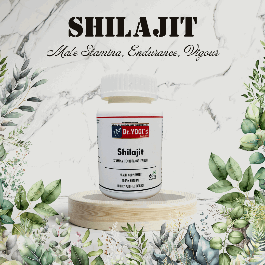 Dr Yogi Shilajit Capsules - Dr Yogi Health Care