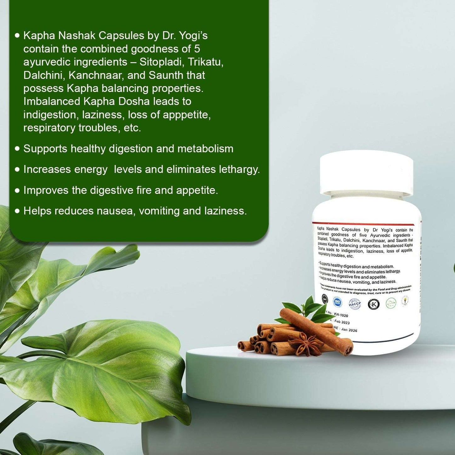 Dr Yogi Kapha Nashak Capsules - Dr Yogi Health Care