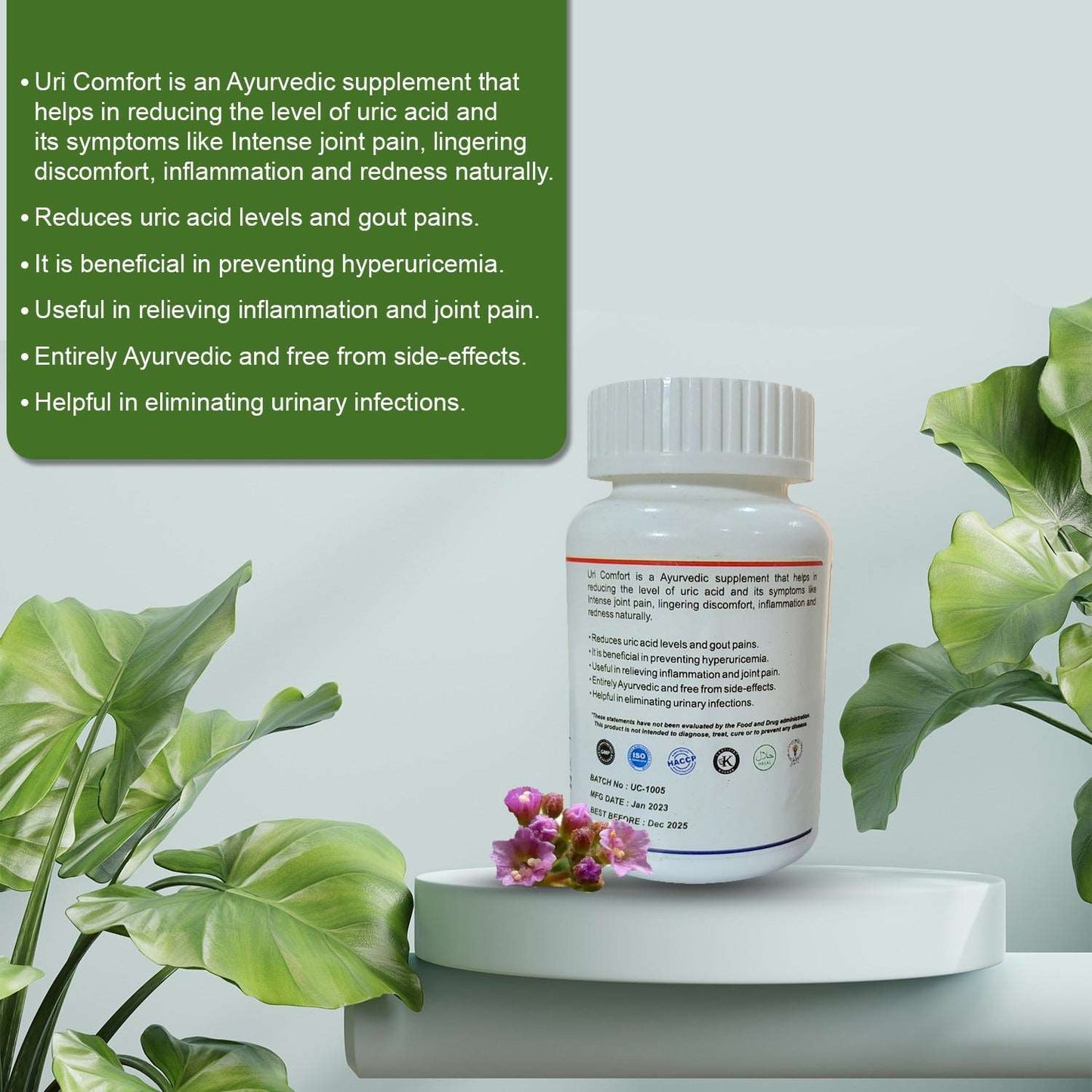 Dr Yogi Uri Comfort - Dr Yogi Health Care
