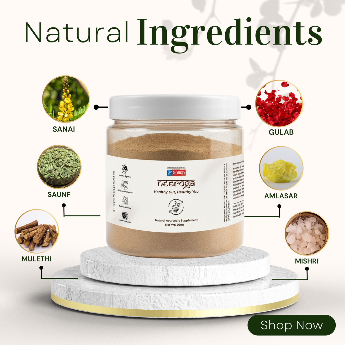 Dr. Yogi's Neeroga Gut Health Powder (200g) | Natural Constipation & Bloating Relief