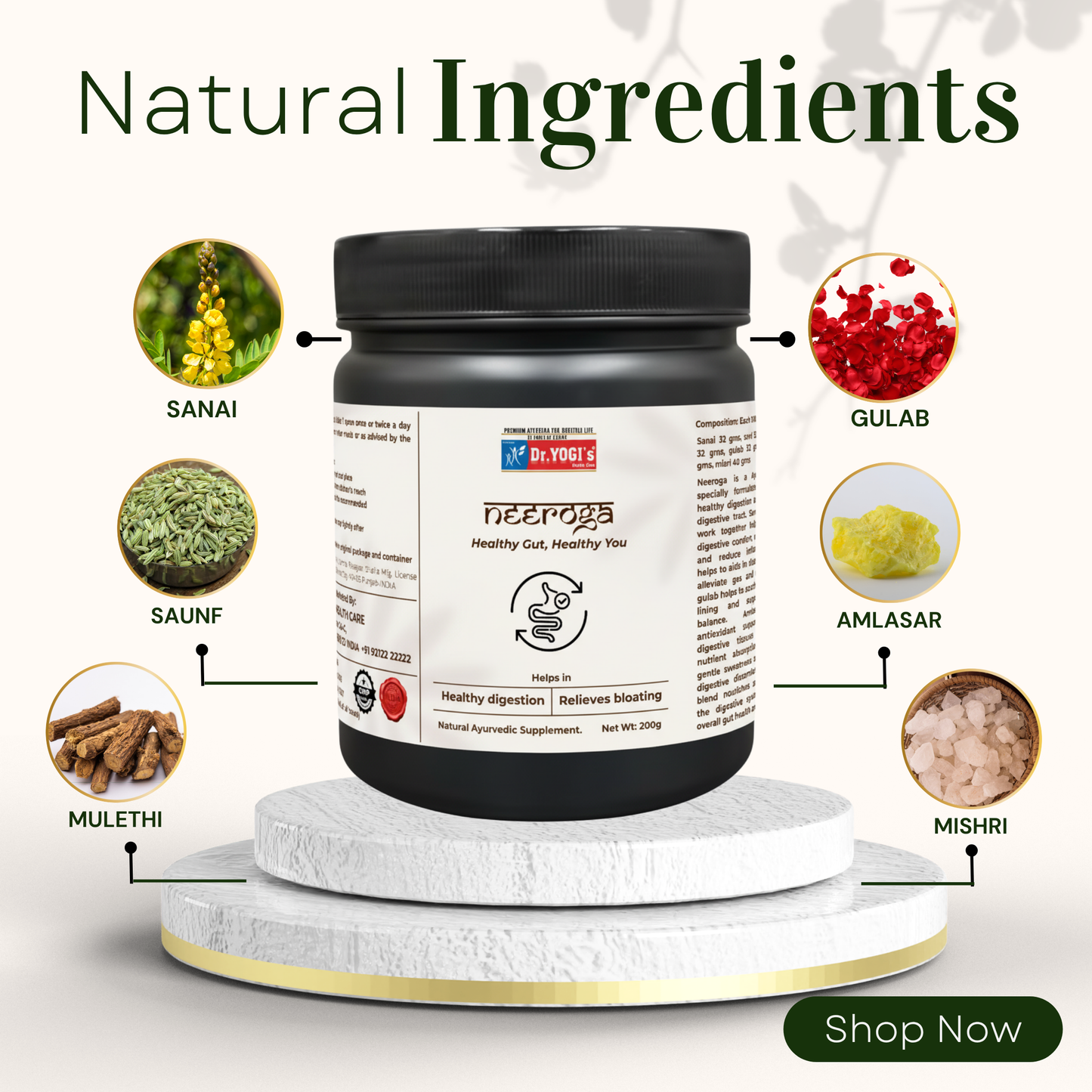 Neeroga Digestive Powder