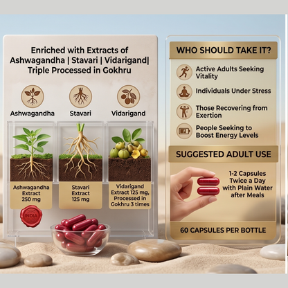 Dr. Yogi's Ashwagandha Plus (60 Caps) – Enhanced Vitality & Endurance with Stavari & Gokhru
