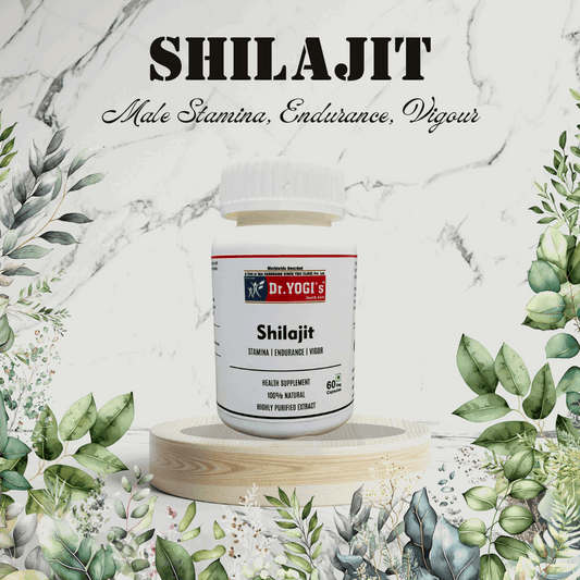 Dr Yogi Shilajit Capsules - Dr Yogi Health Care