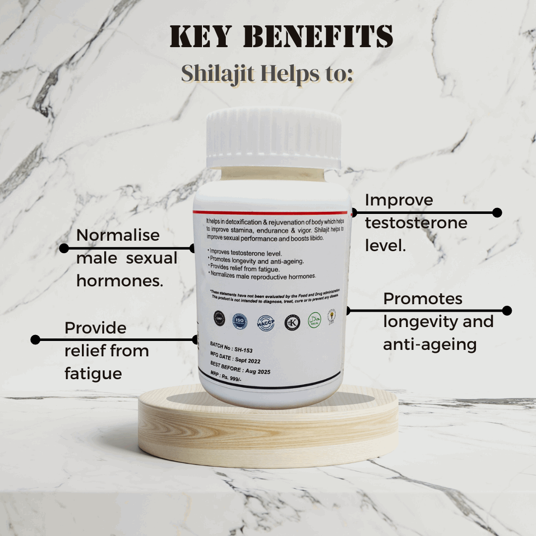 Dr Yogi Shilajit Capsules - Dr Yogi Health Care