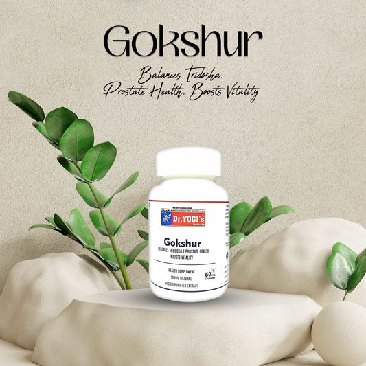 Dr Yogi Gokshur Capsules - Dr Yogi Health Care