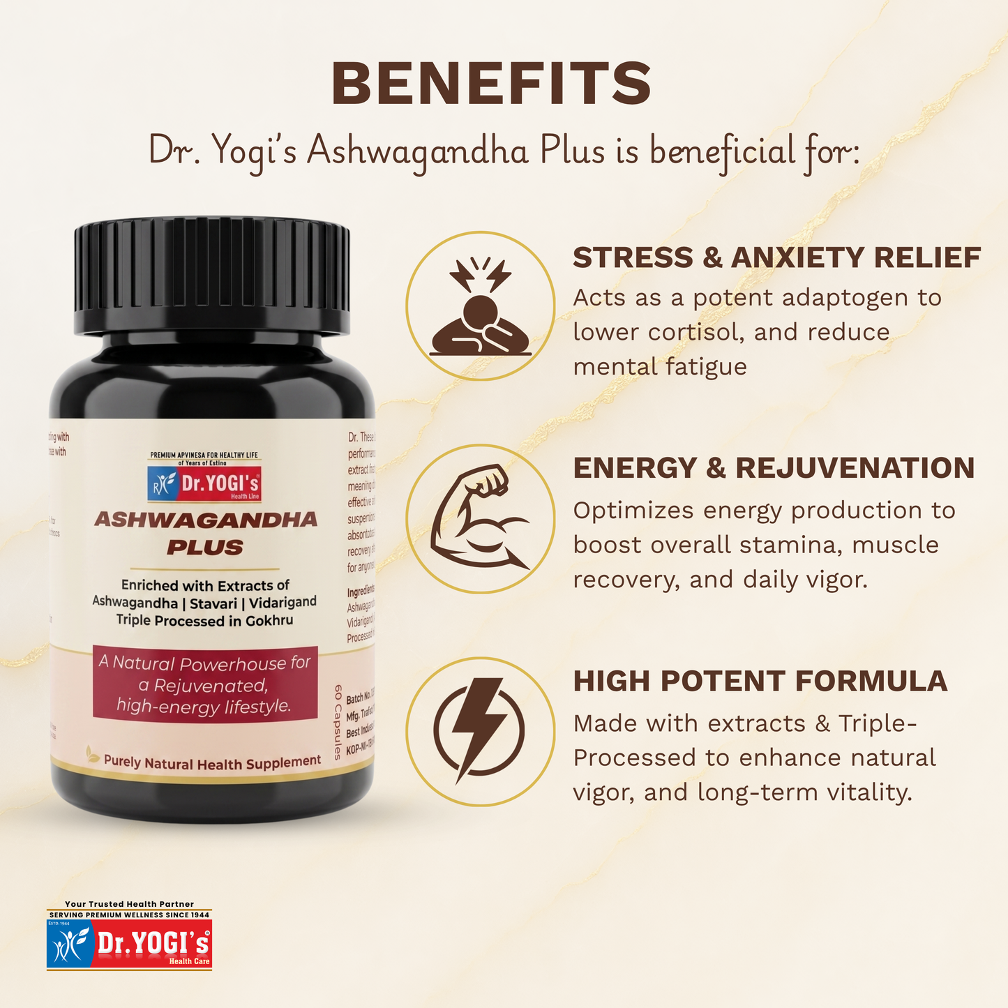 Dr. Yogi's Ashwagandha Plus (60 Caps) – Enhanced Vitality & Endurance with Stavari & Gokhru