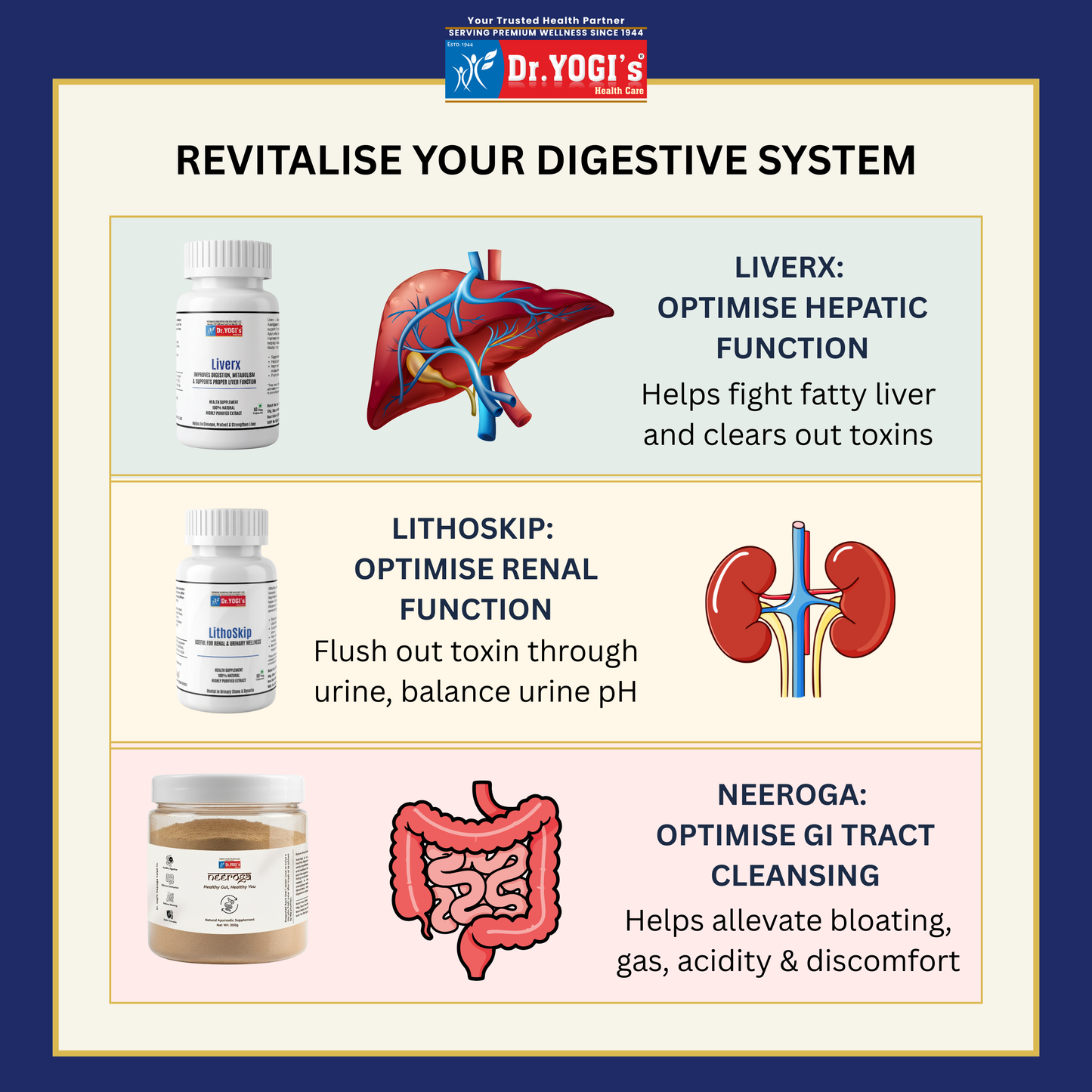 Dr. Yogi's Complete Body Detox – 30 Days Pack (Body Purification)