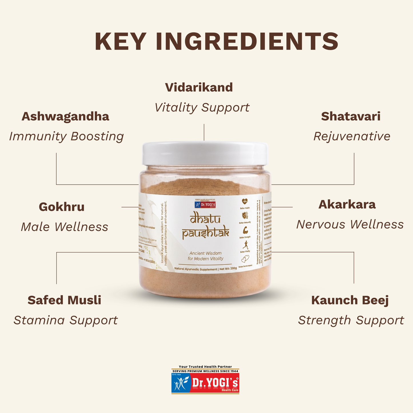 Dr. Yogi's Dhatu Paushtak Churna (200g) | Daily Vitality Powder for Men