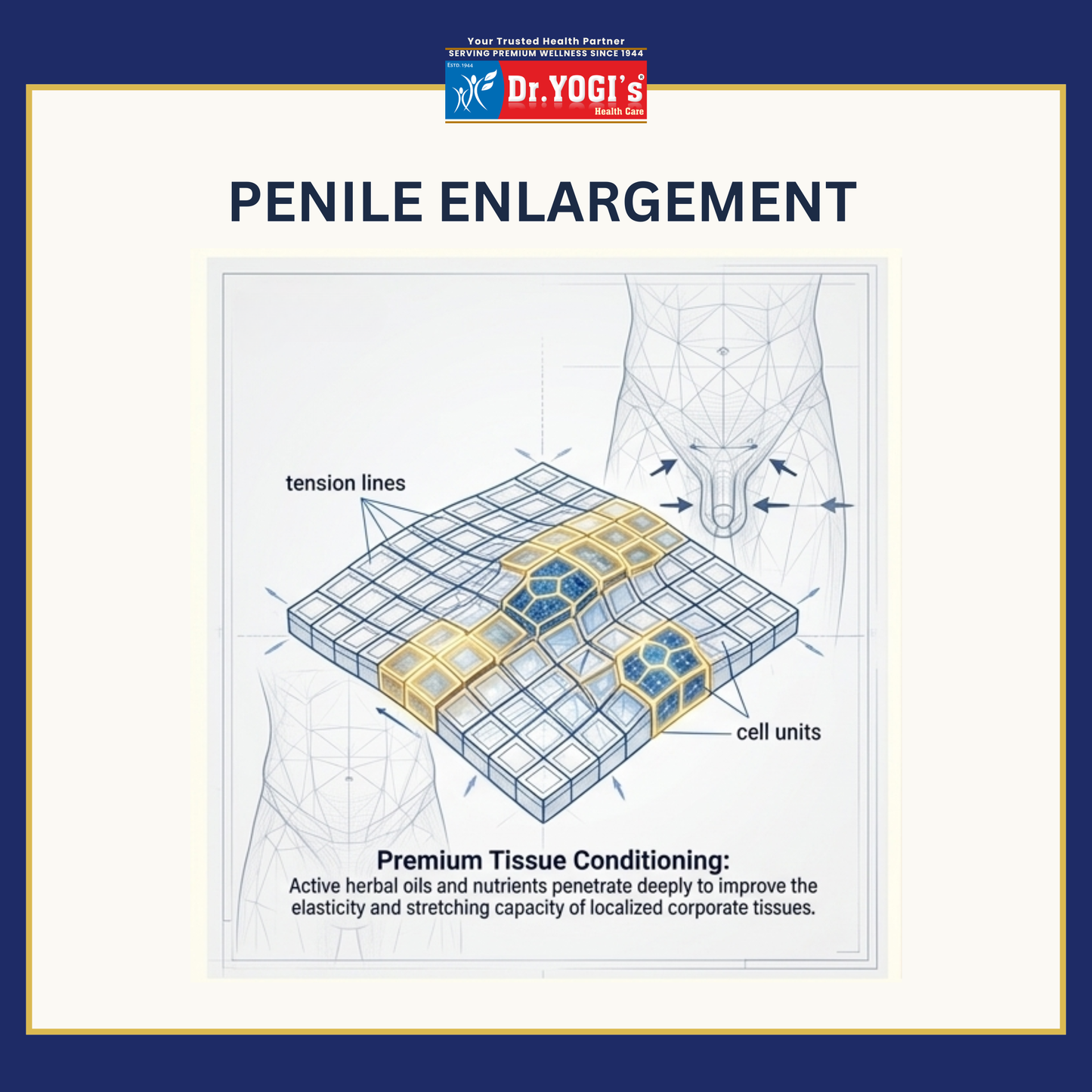 Penile Enlargement 30-Day Pack (Premium Localized Tissue Conditioning)