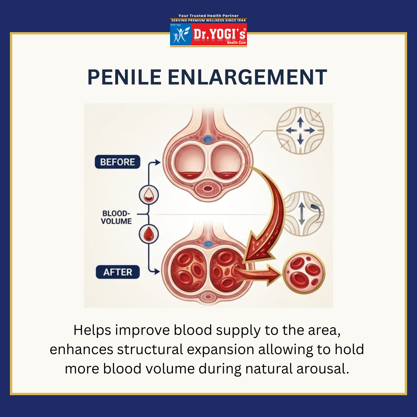Penile Enlargement 30-Day Pack (Premium Localized Tissue Conditioning)