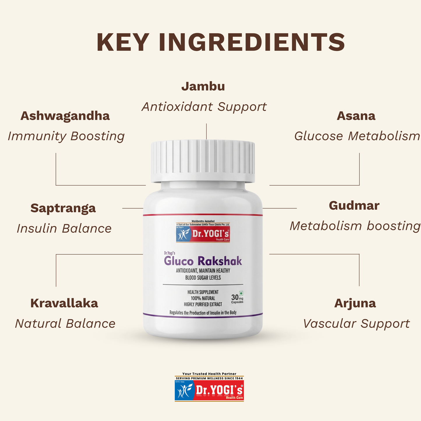 Dr. Yogi's Gluco Rakshak (30 Capsules) | Natural Blood Sugar Support