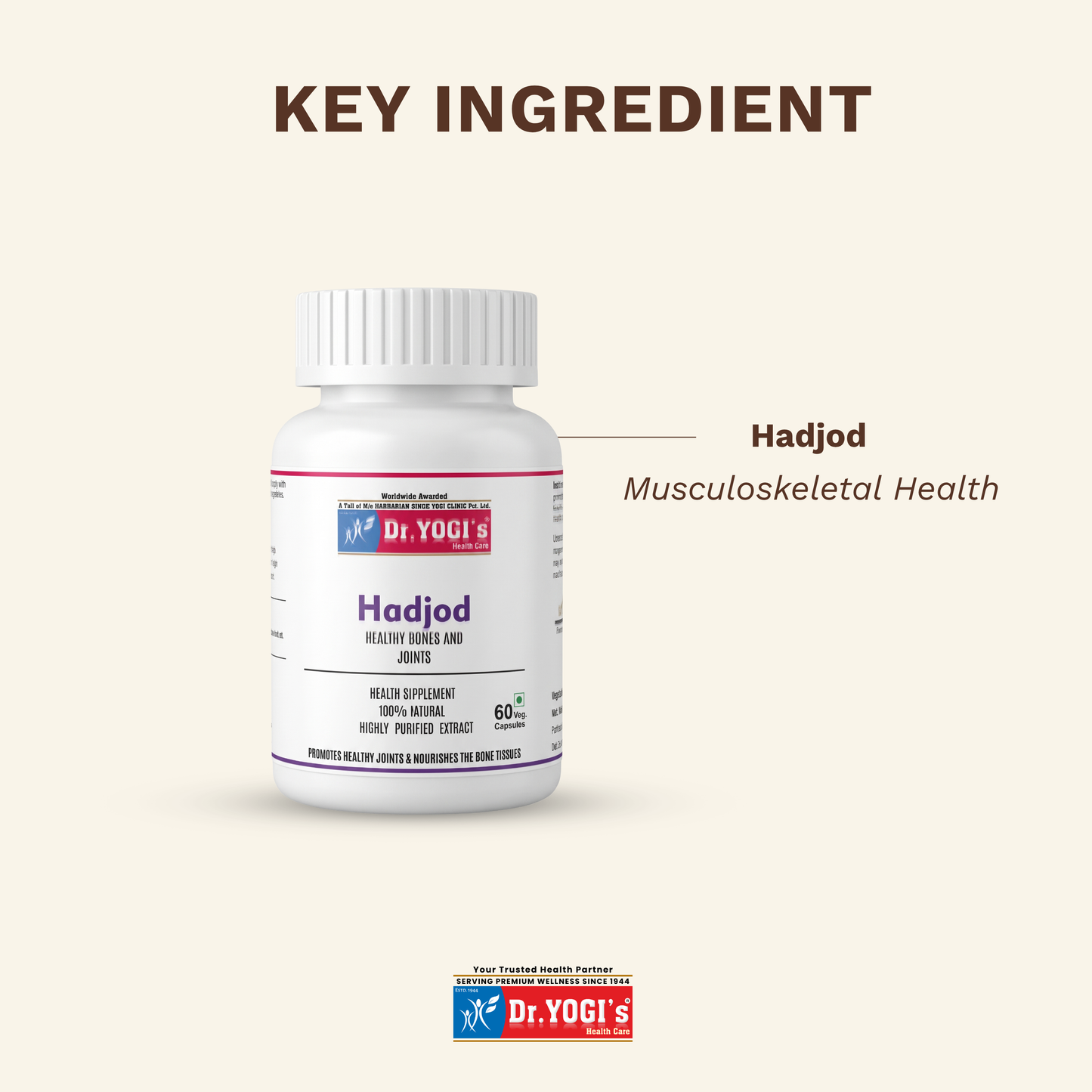 Dr. Yogi's Hadjod (60 Capsules) | Bone Strength & Joint Wellness