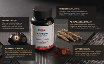 Dr. Yogi's Triton Capsules (60 Count) | Ayurvedic High Potency Performance Capsules