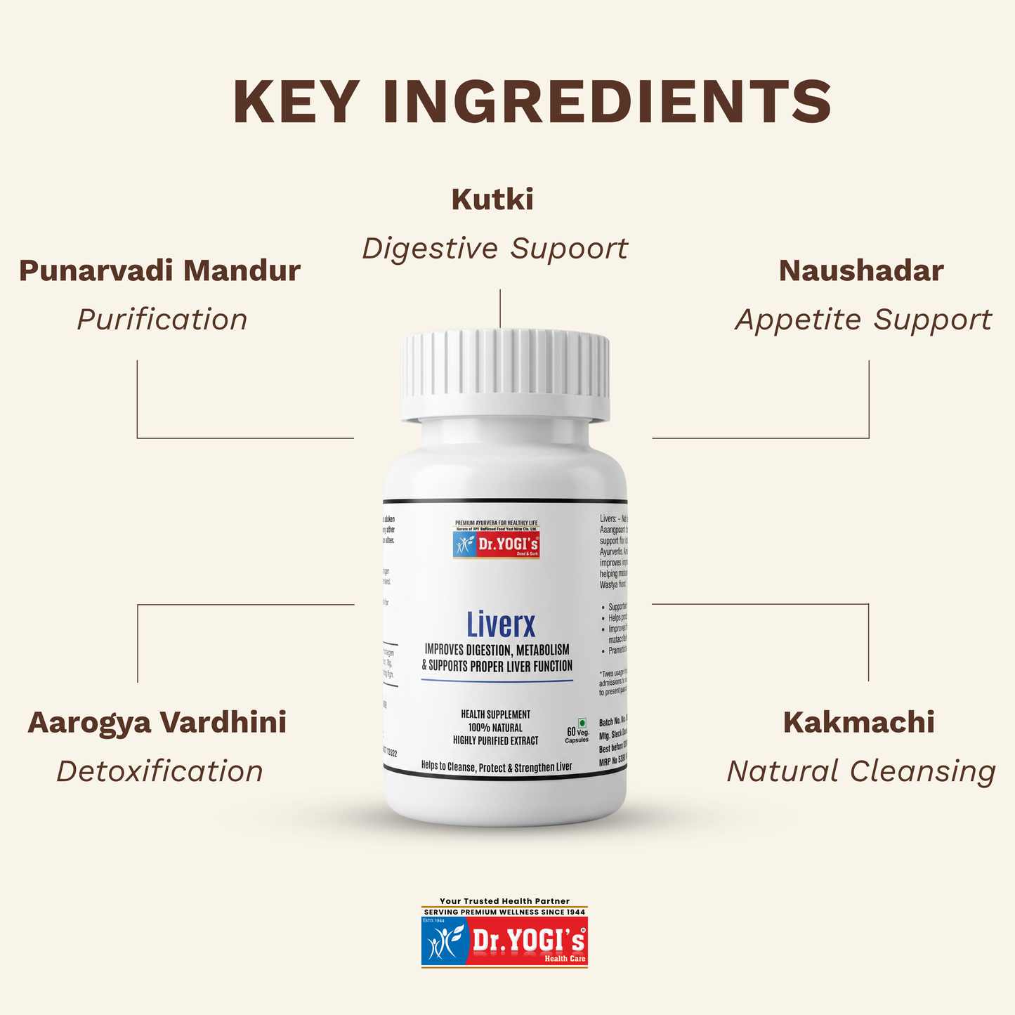 Dr. Yogi's LiverX (60 Capsules) | Premium Ayurvedic Liver Detox & Digestion