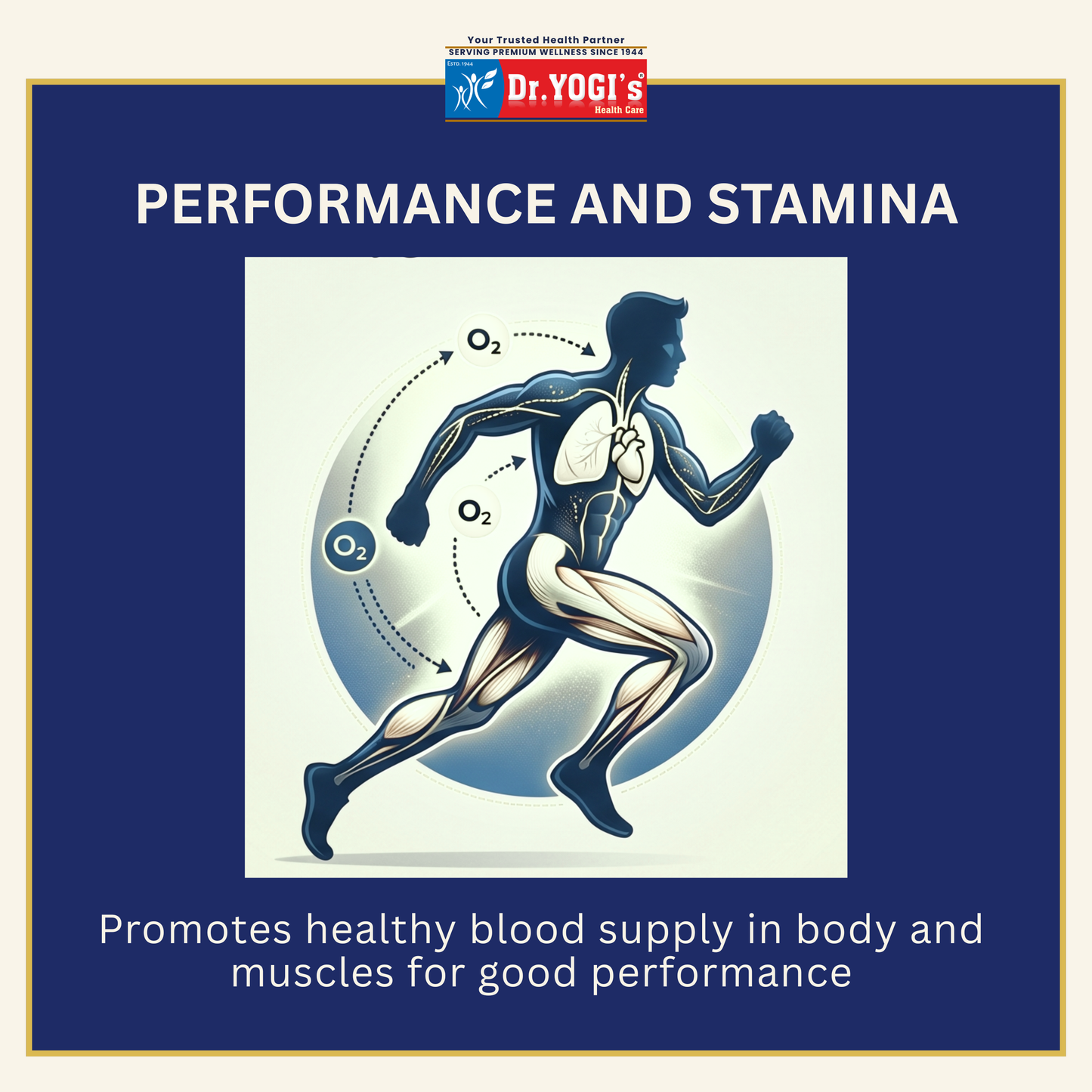 Dr. Yogi's 30-Day Pack for Natural Stamina & Performance