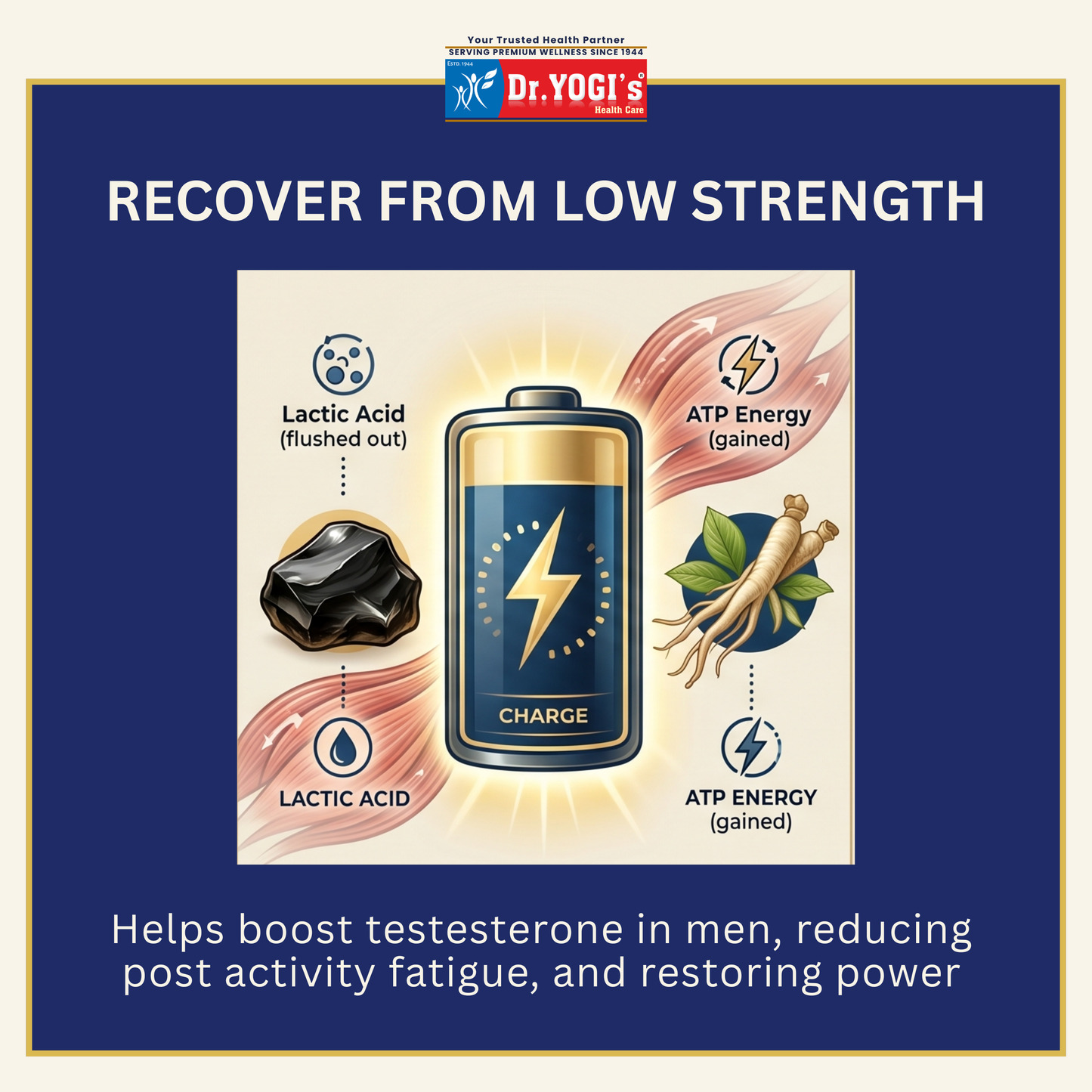 Dr. Yogi's 30-Day Pack for Natural Stamina & Performance