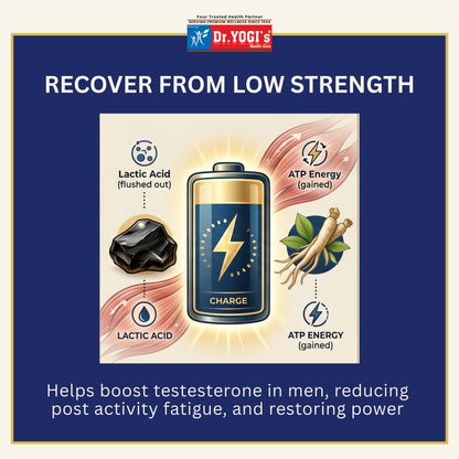 Dr. Yogi's 30-Day Pack for Natural Stamina & Performance